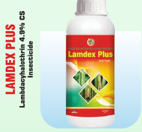 LAMDEX PLUS